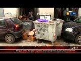 جزائريون.. النفايات المنزلية تغزو شوارع العاصمة