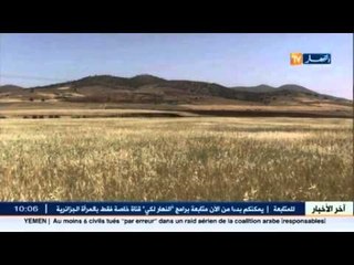 3ملايين هكتار .. هو قدر الأراضي المهملة بالجزائر