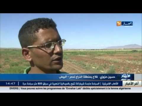 البيض: الأمطار والسيول تخلّف خسائر فادحة وسط الحقول والمحاصيل الفلاحية