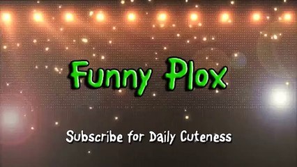 Cute Puppy Playing Under Door