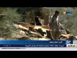 ميلة: رب أسرة من سكيكدة يلجأ للاحتطاب لإعالة أسرته