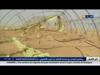 فلاحو واد غزال بأدرار يهجرون الأرض بسبب انعدام المتابعة