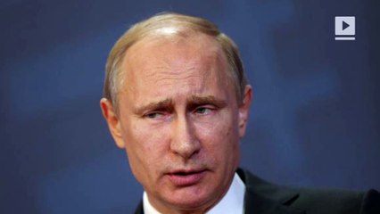 'Assad won when Russia's plane went down'