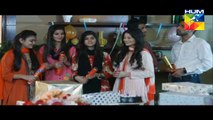 Terey Liye Mera Dil HUM TV Drama 07 Nov 2015