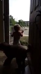 Babasının Eve Gelişini Görünce Heyecandan Çıldıran Çocuk Ve Köpeği