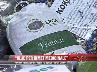 Korçë: Rrezikojnë falimentin shumë biznese - News, Lajme - Vizion Plus
