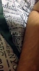 shabir dad exposed phone call