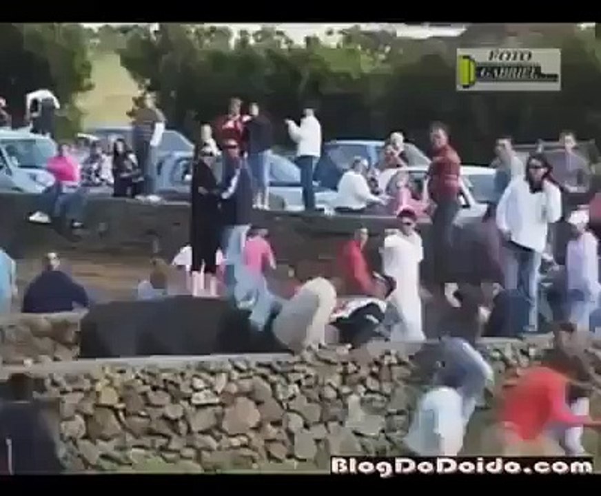 Bull