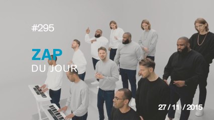 ZAP DU JOUR #295 : Un dauphin joue avec un homme / Dubstep de dinde ! / Un robinet fait le même bruit qu'une formule 1 !