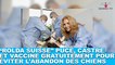 L'association Rolda Suisse puce, castre et vaccine gratuitement pour éviter l'abandon de chiens! L'info dans la minute chien #49