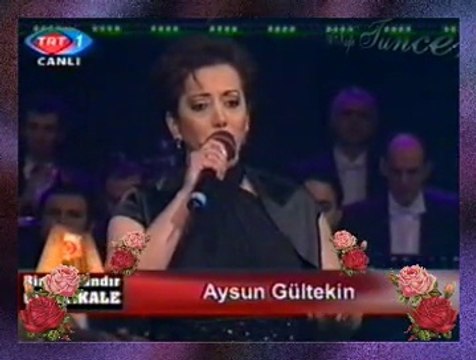 Aysun GÜLTEKİN-Altun Hızmav Mülâyim (5)
