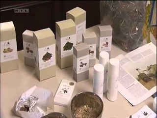 KROACIA PO SHQYRTON SERIOZISHT MUNDESINE E LEJIMIT TE PERDORIMIT  TE MARIUHANES MJEKSORE LAJM