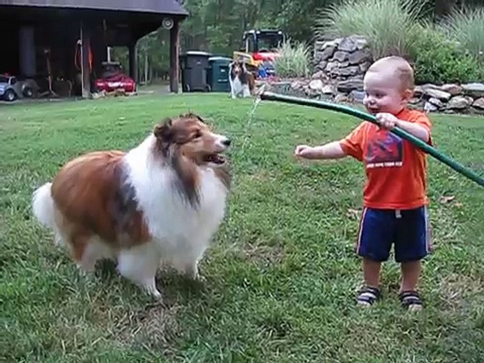 baby and dog play with hose