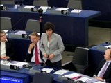 Sylvie Goulard - intervention en séance plénière du Parlement européen 23.11.2015