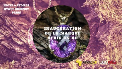 1-Inauguration du label Afric en or à l'hôtel Hyatt Regency Paris