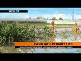 Pasoja e përmbytjes - Top Channel Albania - News - Lajme