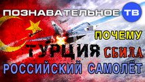 Почему Турция сбила российский самолёт? (Познавательное ТВ, Евгений Фёдоров)