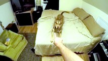Un chien n'aime pas être pointé du doigt