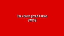 SWISS:Une chatte prend l'avion!