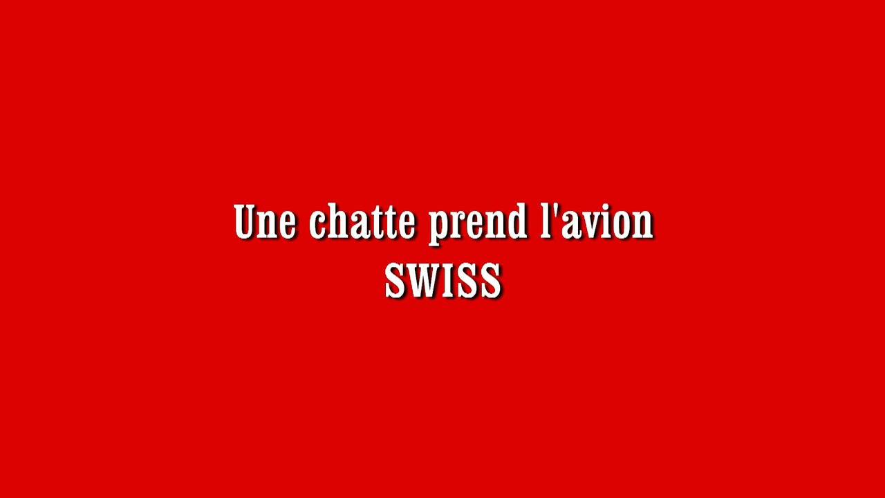 SWISS:Une chatte prend l'avion!