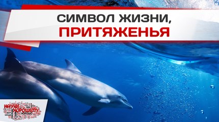 Символ жизни, притяженья