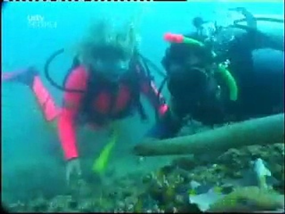 Blonde woman scuba dive documentary