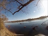 Buzz : Il filme son incroyable plongée dans la Loire au milieu de poissons impressionnants (et parfois dangereux) !