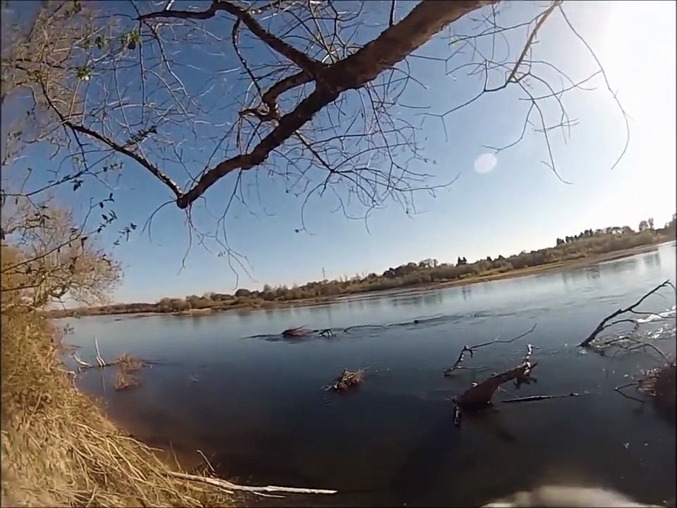 Buzz : Il filme son incroyable plongée dans la Loire au milieu de poissons impressionnants (et parfois dangereux) !