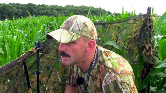 The Shooting Show maize crop pigeons with Geoff Garrod