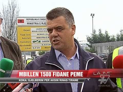 Koka: Gjelbërim për aksin Rinas-Tiranë - News, Lajme - Vizion Plus
