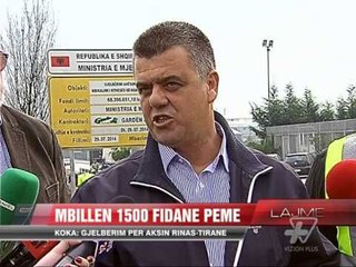 Koka: Gjelbërim për aksin Rinas-Tiranë - News, Lajme - Vizion Plus