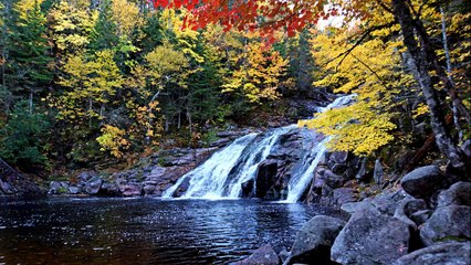 【Healing Cafe】（1/fゆらぎ・α波）川のせせらぎ音に心身がやすらぎ、気力がUPします。Relieving Stress