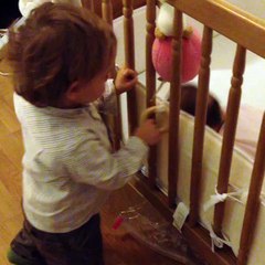 Dina si Grigore - 23.10.2015