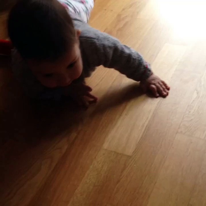 Dina - 13.11.2015
