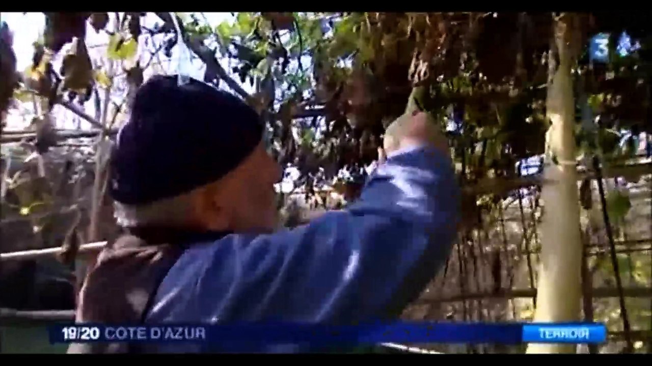 Extrait Reportage France3-Régionales - Les Cougourdons d'Albert Laura