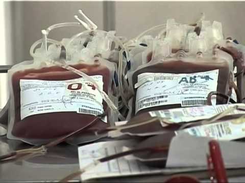 SOT NE MBARE VENDIN MBAHEN AKTIVITETE NE KUADER TE DITES BOTERORE KUNDER SIDES LAJM