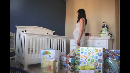 Time Lapse: Pregnant to Baby in 90 seconds. Photo a day.