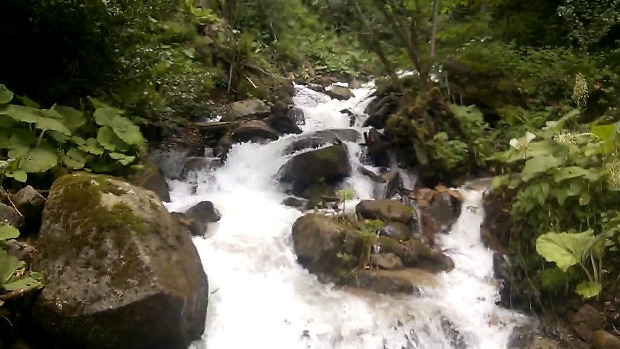 WP_20150531_004