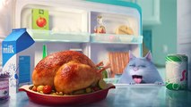 The Secret Life Of Pets - Official Teaser Trailer (HD) - Illumination