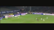 Rodrigue Casimir Ninga Goal - Lyon vs Montpellier 0-2  Ligue 1 2015