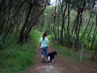 2010/9　お散歩時の出来事