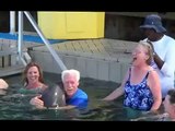 Dolphin Encounter