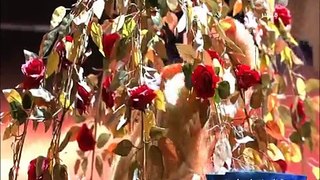 دينا وحنان -بياع الورد- - البرايم السابع ستار اكاديمي 11 - YouTube
