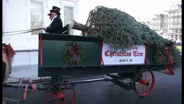 La Casa Blanca ya tiene árbol de Navidad