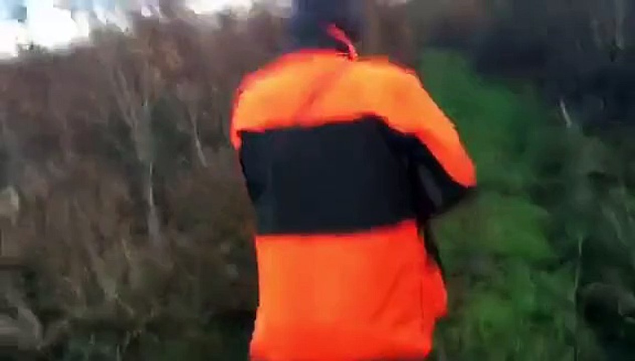 Dans la traque un troupeau de sanglier !