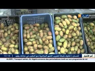 قالمة: هندي بن جراح..جودة..نوعية و طعم خاص