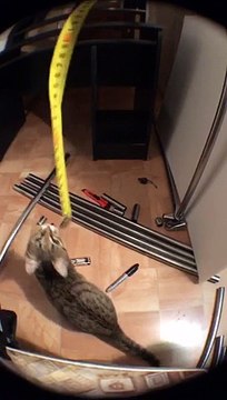 Александр Бон (shponks) on Periscope [2015-11-28 00-36] На сон грядущий‼️ соня‼️