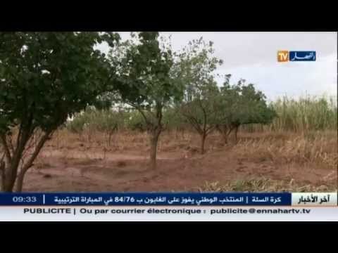 الأغواط: 24 ساعة من الأمطار تكبد الفلاحين بأفلو خسائر فادحة