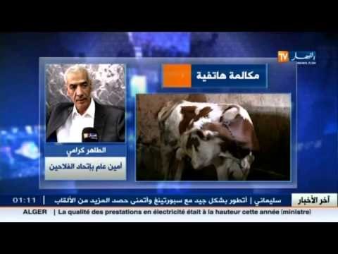 تقليص في فاتورة استيراد الحليب.. الاهتمام بالمنتج المحلي