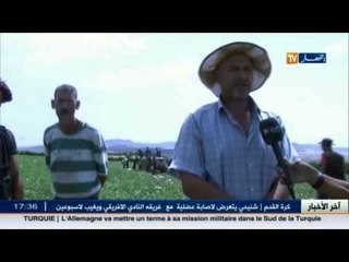 البطيخ الأحمر نشاط فلاحي مزدهر ببلدية تنيرة بسيدي بلعباس